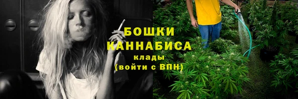стаф Мегион