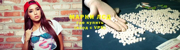 стафф Михайловск