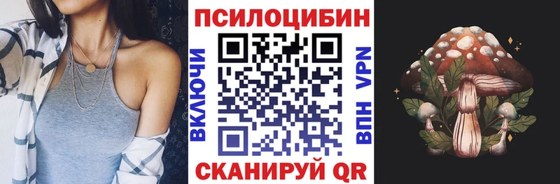 Галлюциногенные грибы GOLDEN TEACHER  купить наркоту  Мышкин 